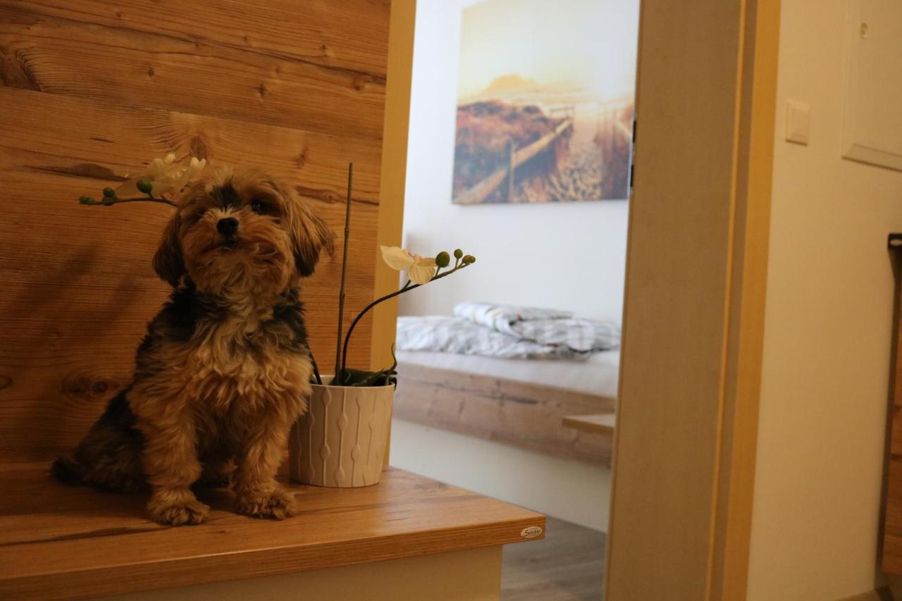 Zirben Diamant Rooms & Dogs Obdach Exterior foto